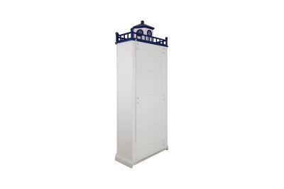ویترین آراکس